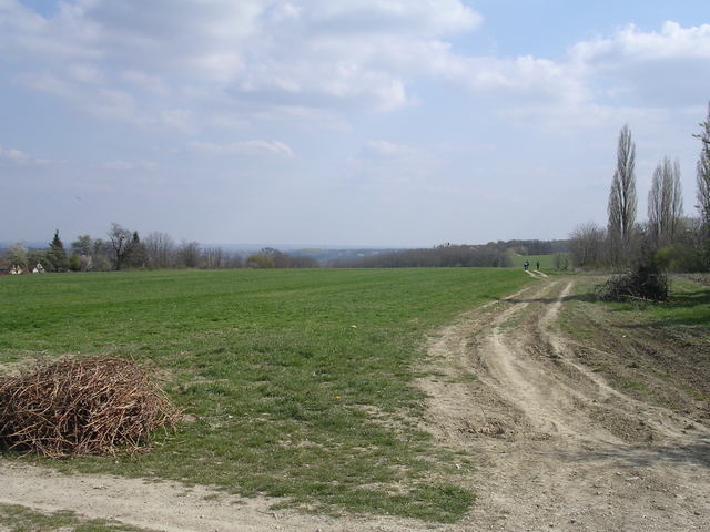 A képhez tartozó alt jellemző üres; 20241018_101325.jpg a fájlnév