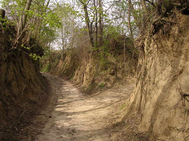 A képhez tartozó alt jellemző üres; 20241018_101325.jpg a fájlnév