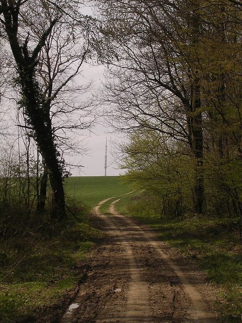 A képhez tartozó alt jellemző üres; 20241018_101325.jpg a fájlnév
