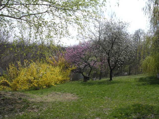 A képhez tartozó alt jellemző üres; 20241018_101325.jpg a fájlnév