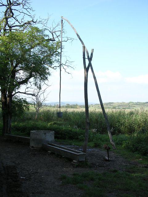 A képhez tartozó alt jellemző üres; 20241018_101325.jpg a fájlnév