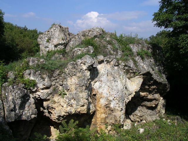 A képhez tartozó alt jellemző üres; 20241018_101325.jpg a fájlnév