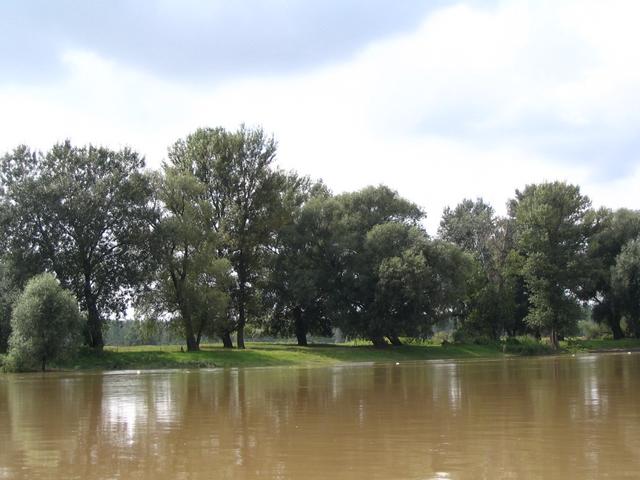 A képhez tartozó alt jellemző üres; 20241018_101325.jpg a fájlnév