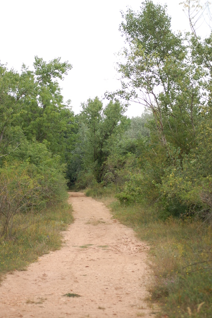 A képhez tartozó alt jellemző üres; 20241018_101325.jpg a fájlnév
