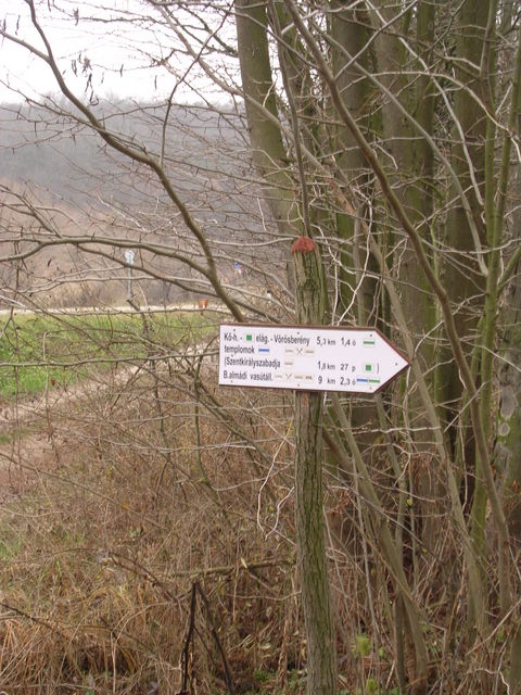 A képhez tartozó alt jellemző üres; 20241018_101325.jpg a fájlnév