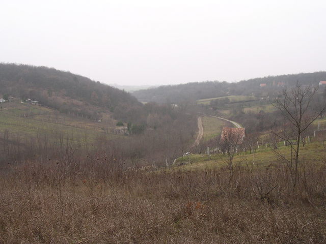 A képhez tartozó alt jellemző üres; 20241018_101325.jpg a fájlnév
