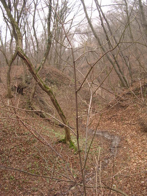 A képhez tartozó alt jellemző üres; 20241018_101325.jpg a fájlnév