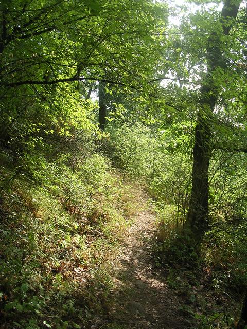 A képhez tartozó alt jellemző üres; 20241018_101325.jpg a fájlnév