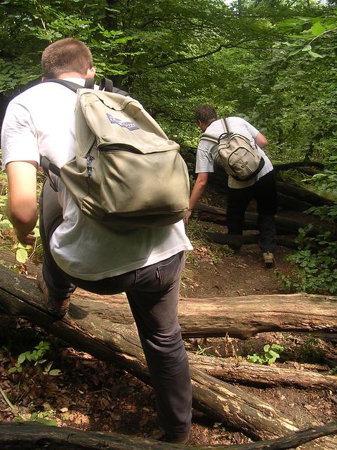 A képhez tartozó alt jellemző üres; 20241018_101325.jpg a fájlnév