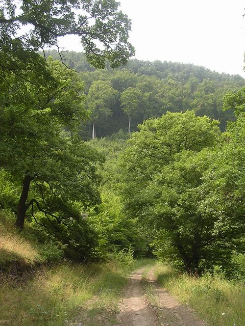 A képhez tartozó alt jellemző üres; 20241018_101325.jpg a fájlnév