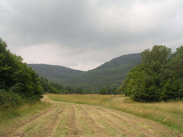 A képhez tartozó alt jellemző üres; 20241018_101325.jpg a fájlnév