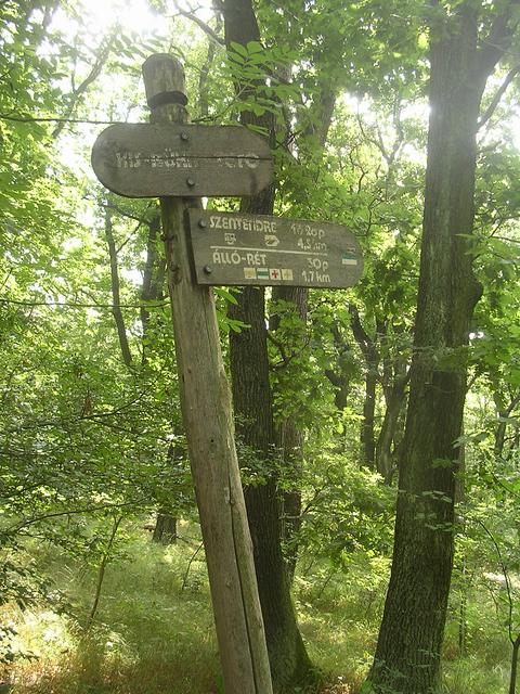 A képhez tartozó alt jellemző üres; 20241018_101325.jpg a fájlnév