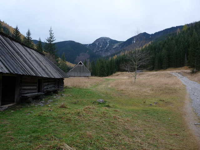 A képhez tartozó alt jellemző üres; 20241018_101325.jpg a fájlnév