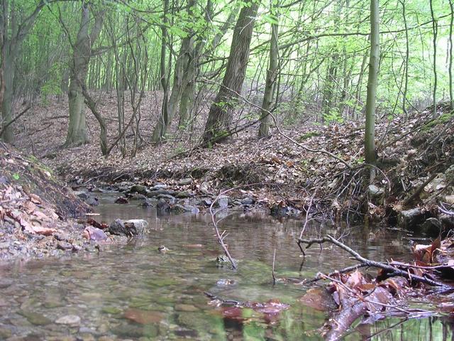 A képhez tartozó alt jellemző üres; 20241018_101325.jpg a fájlnév