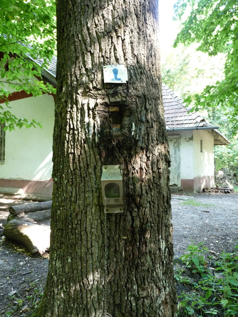 A képhez tartozó alt jellemző üres; 20241018_101325.jpg a fájlnév