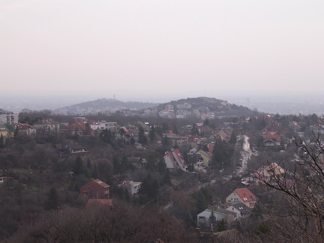 A képhez tartozó alt jellemző üres; 20241018_101325.jpg a fájlnév