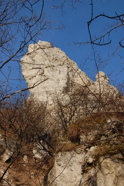 A képhez tartozó alt jellemző üres; 20241018_101325.jpg a fájlnév