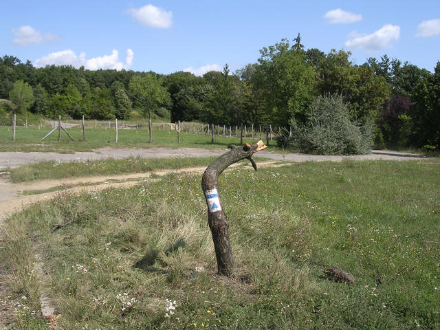 A képhez tartozó alt jellemző üres; 20241018_101325.jpg a fájlnév