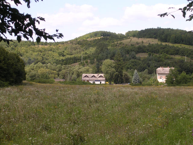 A képhez tartozó alt jellemző üres; 20241018_101325.jpg a fájlnév
