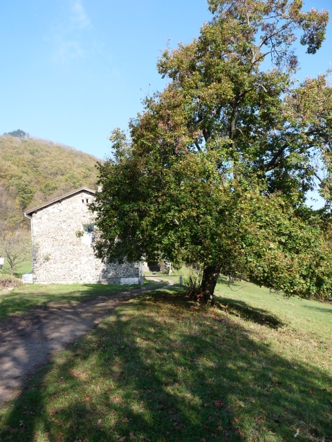A képhez tartozó alt jellemző üres; 20241018_101325.jpg a fájlnév