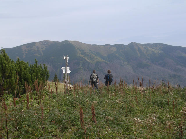 A képhez tartozó alt jellemző üres; 20241018_101325.jpg a fájlnév