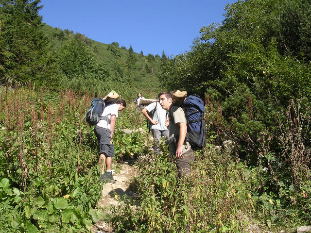 A képhez tartozó alt jellemző üres; 20241018_101325.jpg a fájlnév