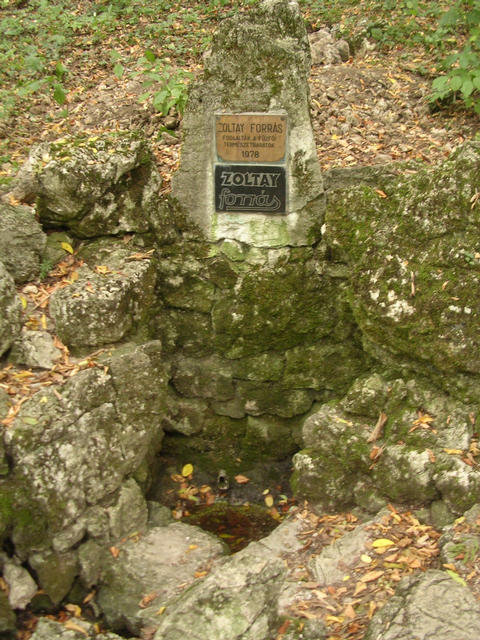 A képhez tartozó alt jellemző üres; 20241018_101325.jpg a fájlnév