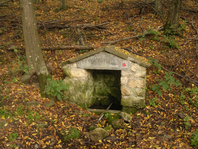 A képhez tartozó alt jellemző üres; 20241018_101325.jpg a fájlnév