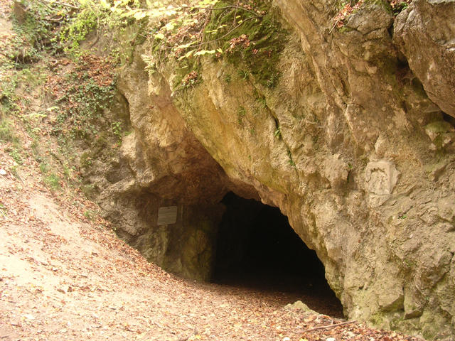 A képhez tartozó alt jellemző üres; 20241018_101325.jpg a fájlnév