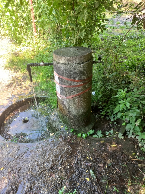 A képhez tartozó alt jellemző üres; 20241018_101325.jpg a fájlnév