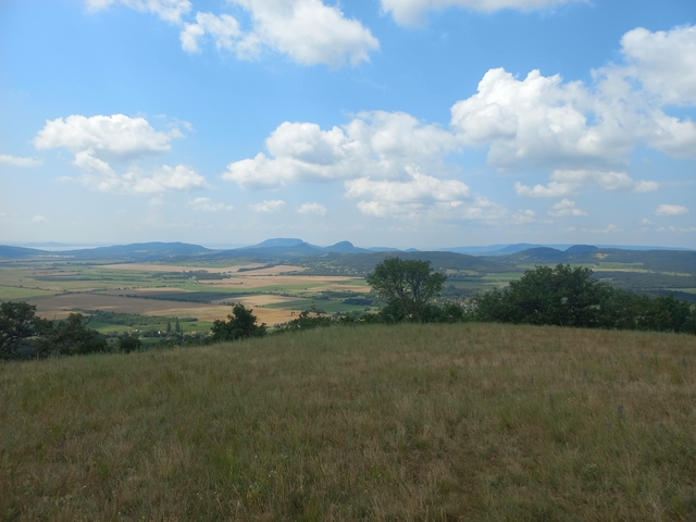 A képhez tartozó alt jellemző üres; 20241018_101325.jpg a fájlnév