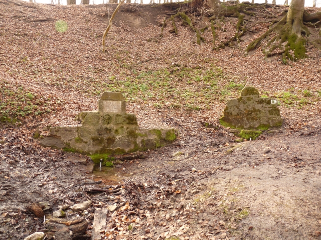 A képhez tartozó alt jellemző üres; 20241018_101325.jpg a fájlnév