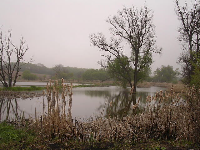 A képhez tartozó alt jellemző üres; 20241018_101325.jpg a fájlnév