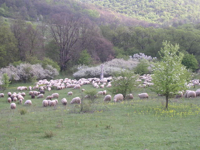 A képhez tartozó alt jellemző üres; 20241018_101325.jpg a fájlnév