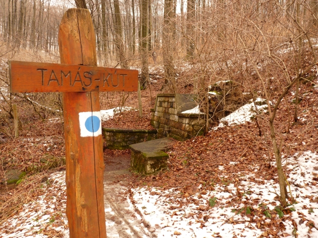 A képhez tartozó alt jellemző üres; 20241018_101325.jpg a fájlnév
