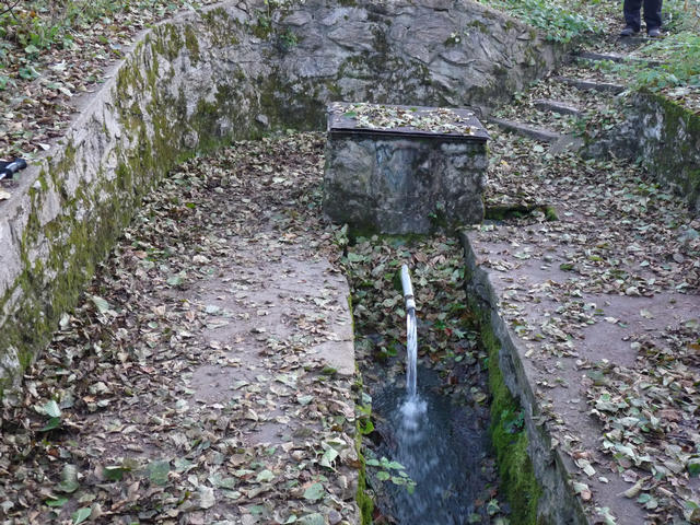 A képhez tartozó alt jellemző üres; 20241018_101325.jpg a fájlnév