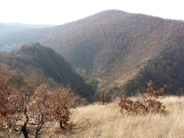 A képhez tartozó alt jellemző üres; 20241018_101325.jpg a fájlnév