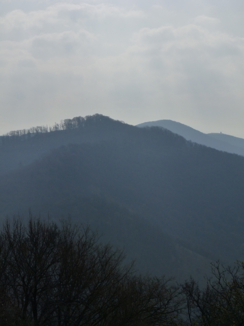 A képhez tartozó alt jellemző üres; 20241018_101325.jpg a fájlnév