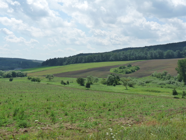 A képhez tartozó alt jellemző üres; 20241018_101325.jpg a fájlnév