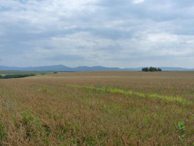 A képhez tartozó alt jellemző üres; 20241018_101325.jpg a fájlnév