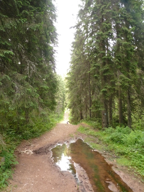 A képhez tartozó alt jellemző üres; 20241018_101325.jpg a fájlnév
