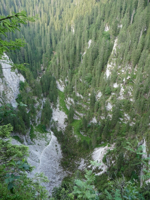 A képhez tartozó alt jellemző üres; 20241018_101325.jpg a fájlnév