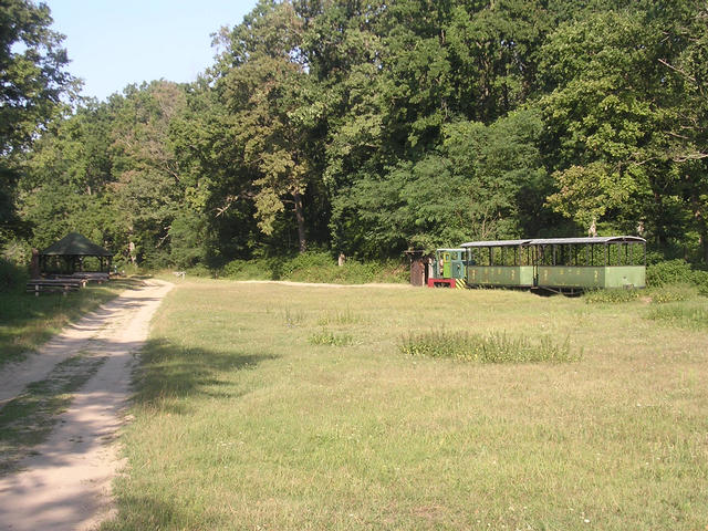 A képhez tartozó alt jellemző üres; 20241018_101325.jpg a fájlnév