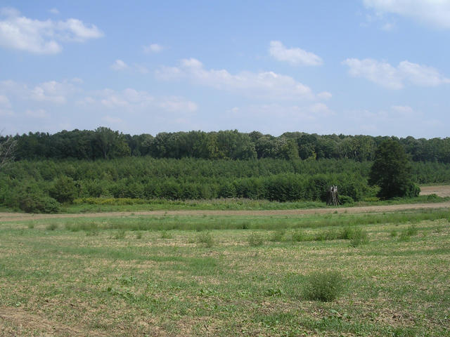 A képhez tartozó alt jellemző üres; 20241018_101325.jpg a fájlnév