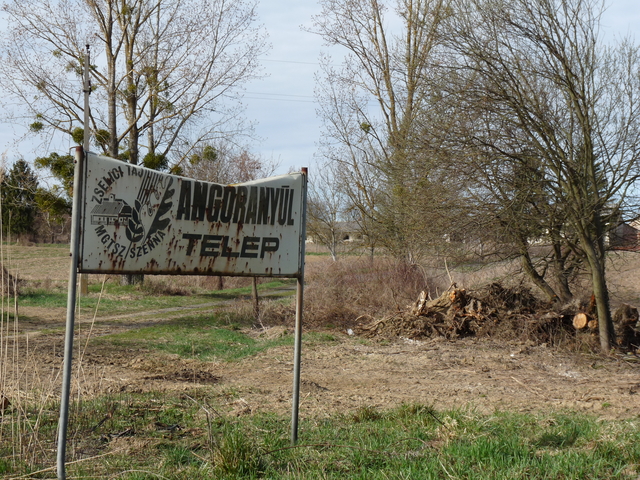 A képhez tartozó alt jellemző üres; 20241018_101325.jpg a fájlnév
