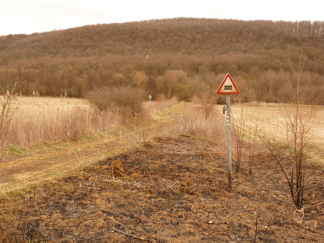 A képhez tartozó alt jellemző üres; 20241018_101325.jpg a fájlnév