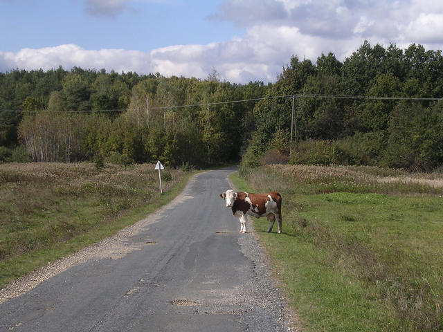 A képhez tartozó alt jellemző üres; 20241018_101325.jpg a fájlnév