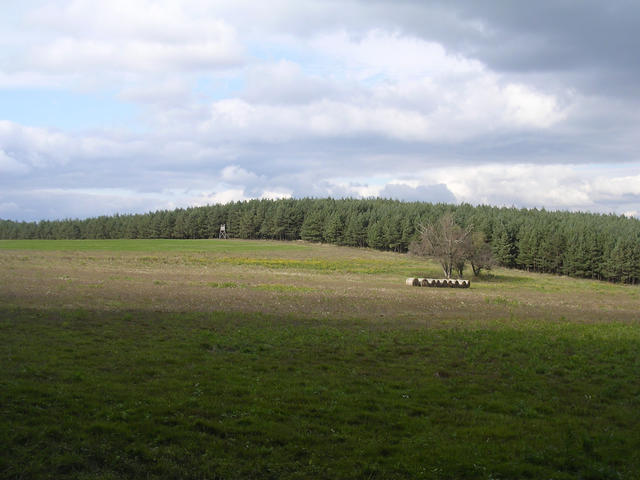 A képhez tartozó alt jellemző üres; 20241018_101325.jpg a fájlnév