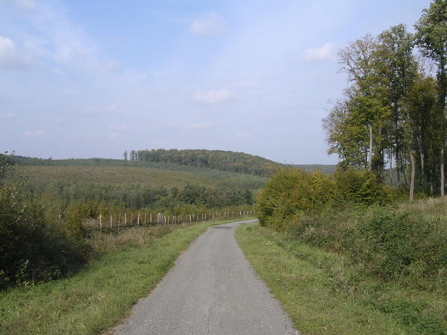 A képhez tartozó alt jellemző üres; 20241018_101325.jpg a fájlnév