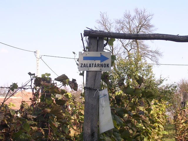 A képhez tartozó alt jellemző üres; 20241018_101325.jpg a fájlnév